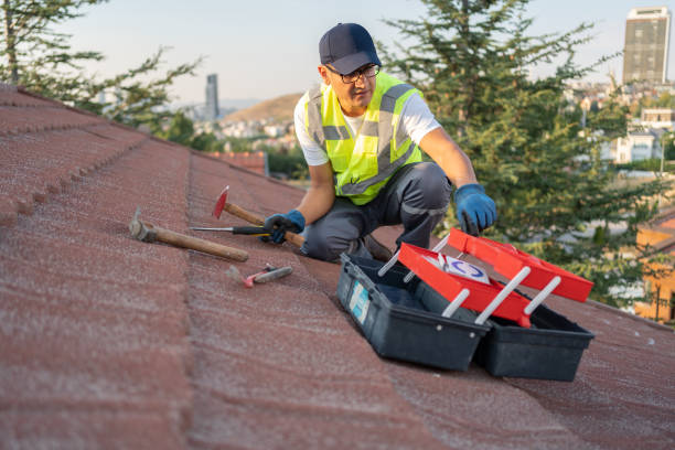 Best Brick Veneer Siding  in Waukegan, IL